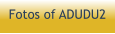 Fotos of ADUDU2