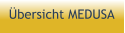 Übersicht MEDUSA